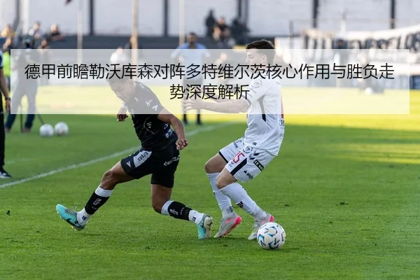 德甲前瞻勒沃库森对阵多特维尔茨核心作用与胜负走势深度解析 | kaiyun